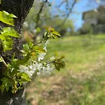 La Quercia 컨트리하우스