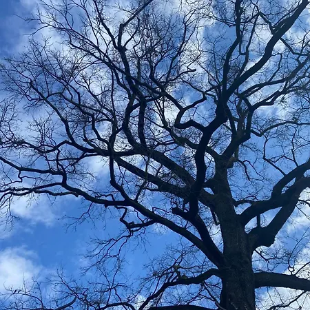 La Quercia * Sommariva del Bosco