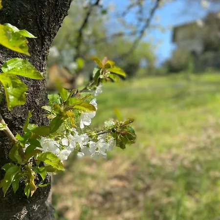 La Quercia منزل ريفي