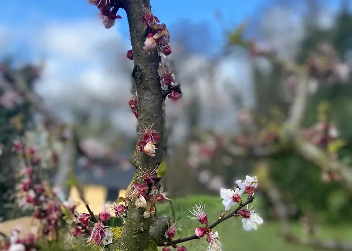 La Quercia