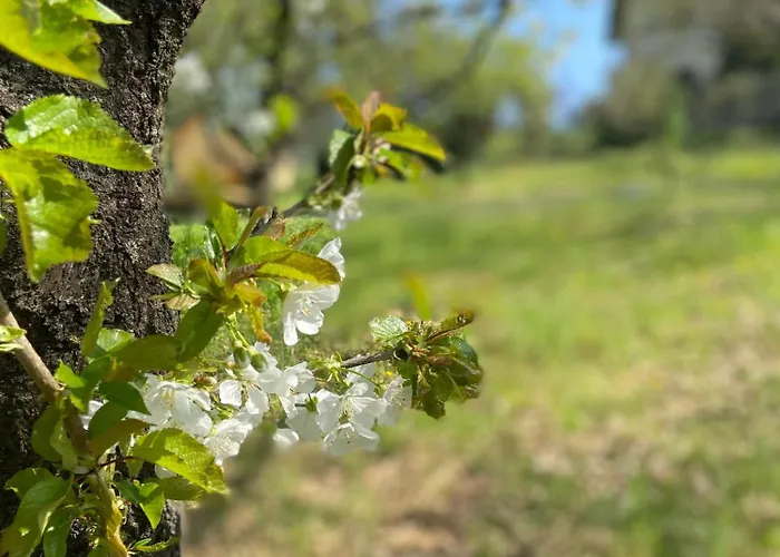 La Quercia Country house